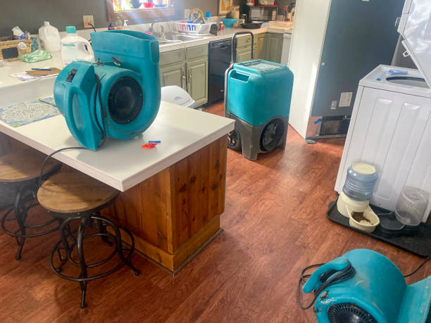 Best Emergency water damage restoration  in Wilder, KY