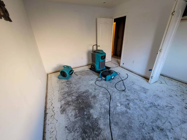 Best Water damage contractors near me  in Wilder, KY