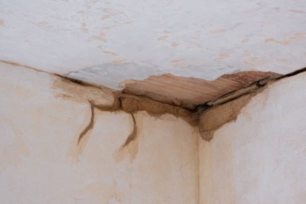 Best Commercial water damage restoration  in Wilder, KY
