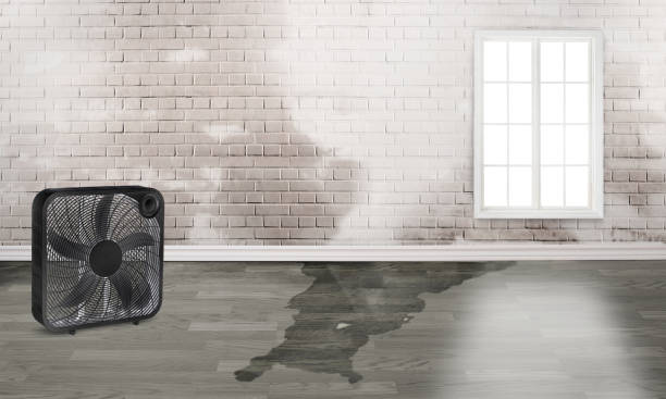 Water damage restoration mold remediation in KY