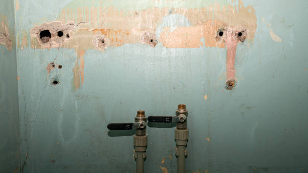 Best Local water damage restoration  in Wilder, KY