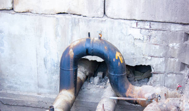 Best Basement water damage restoration  in Wilder, KY